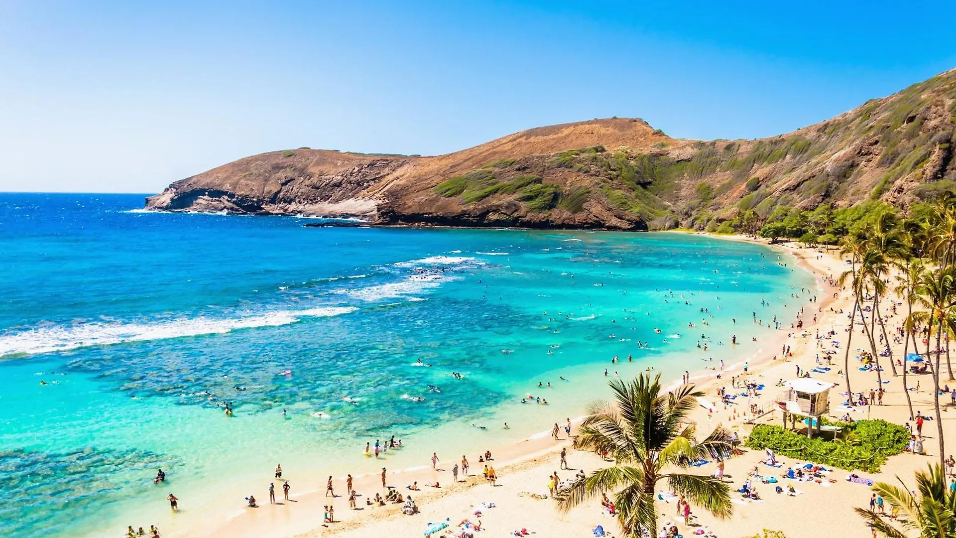 شقة Cozy Ocean View Escape Just Steps To Waikiki Beach! هونولولو
