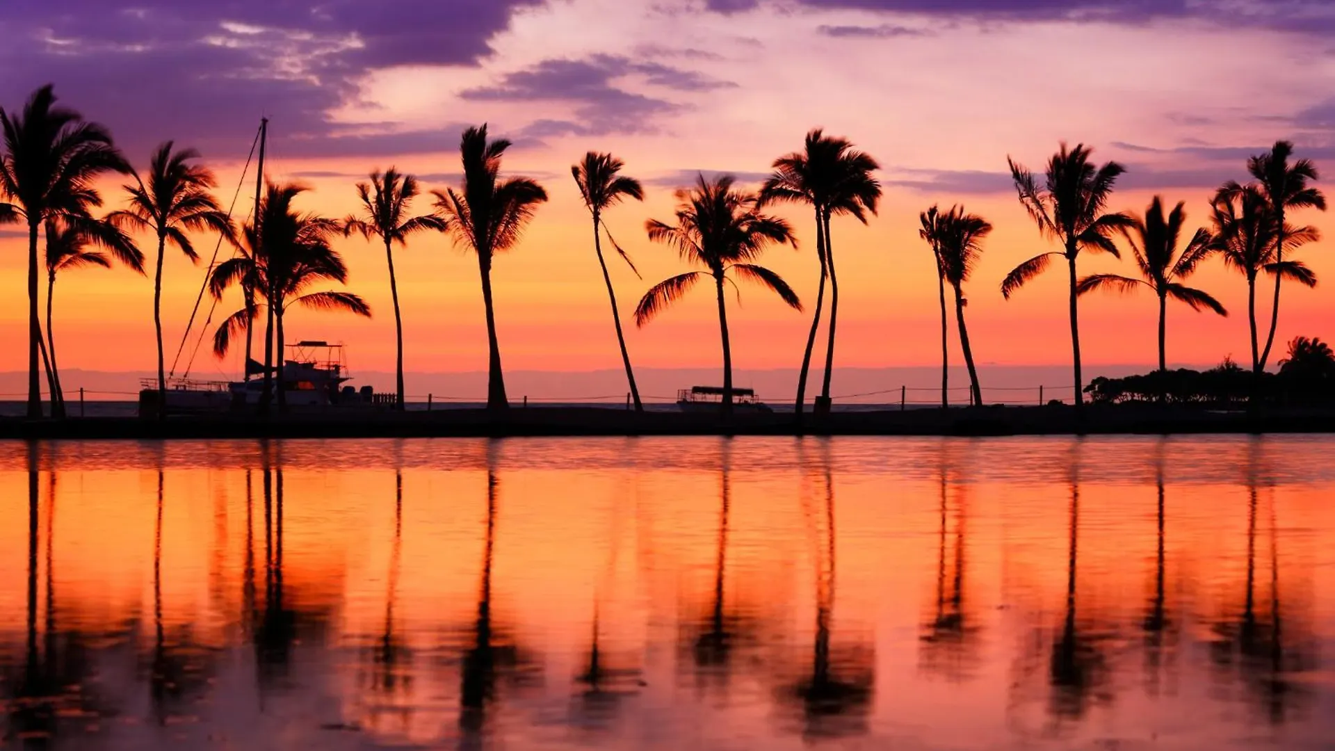Cozy Ocean View Escape Just Steps To Waikiki Beach! هونولولو 0*,  الولايات المتحدة الأمريكية