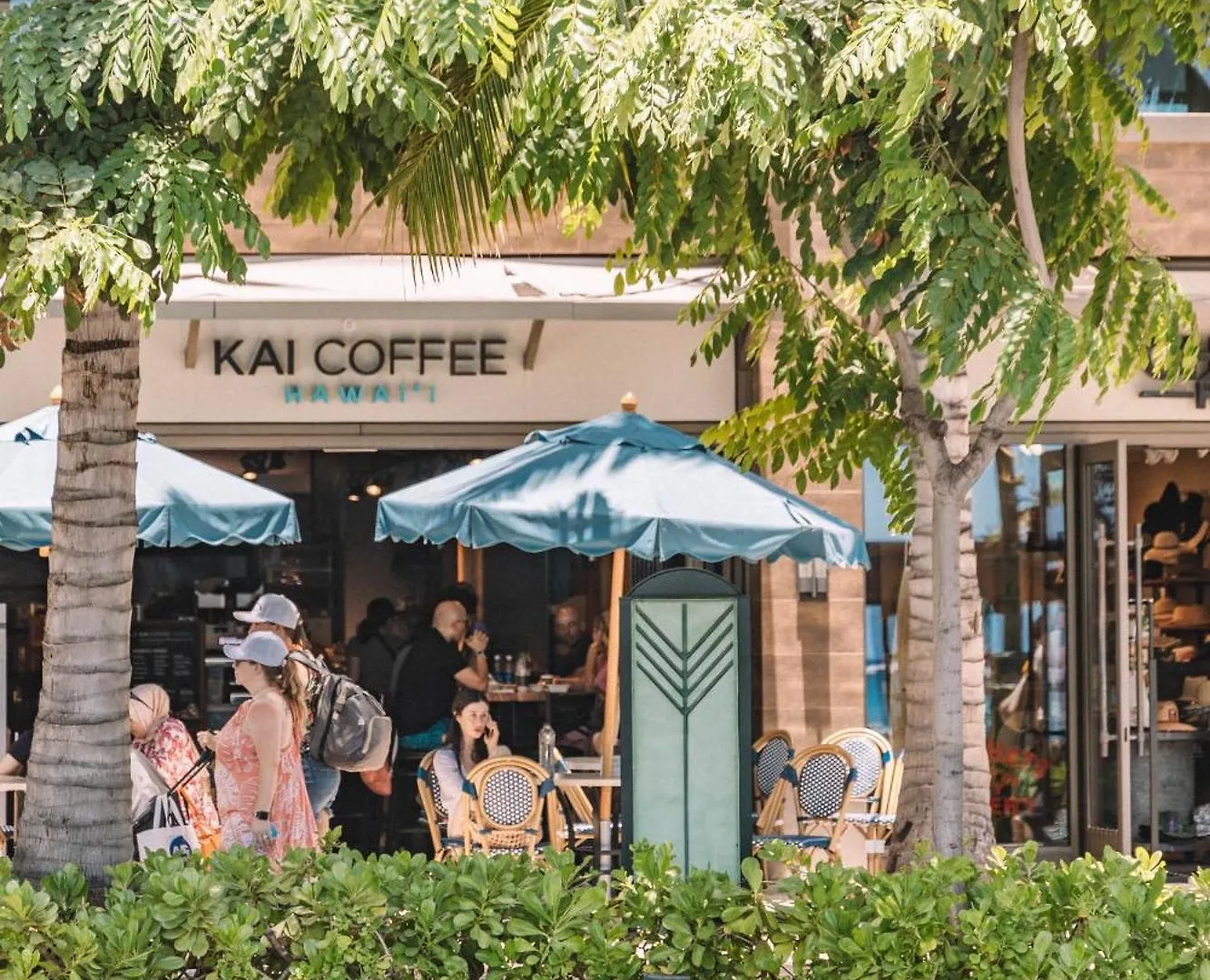Cozy Ocean View Escape Just Steps To Waikiki Beach! هونولولو الولايات المتحدة الأمريكية